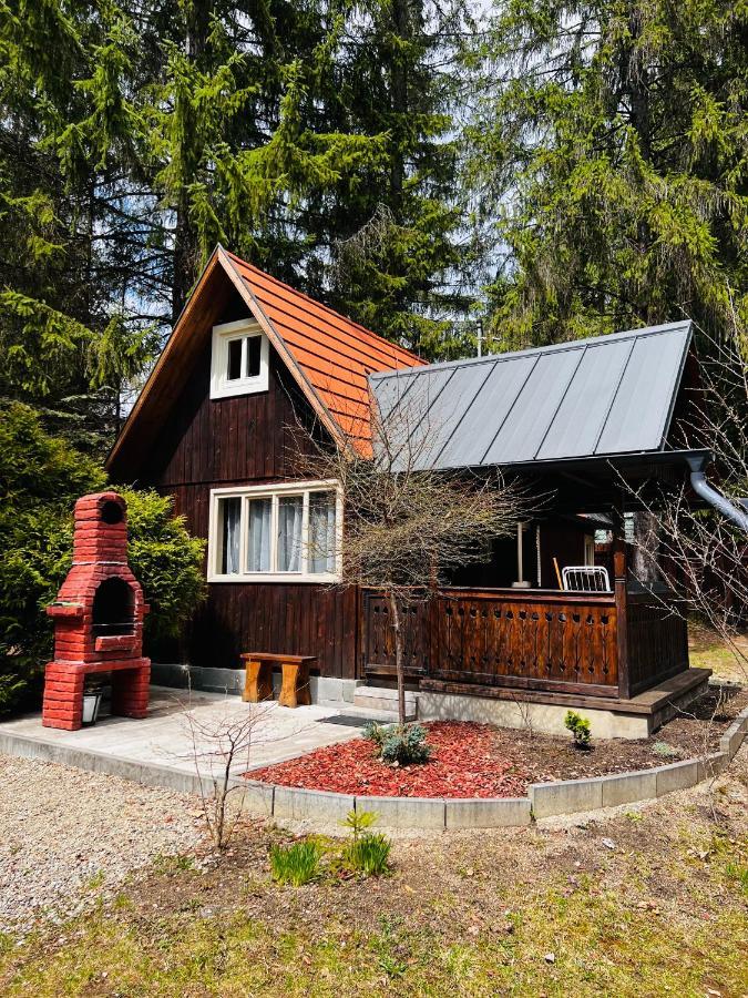 Cabana Adrienne Извору Мурешулуй Экстерьер фото